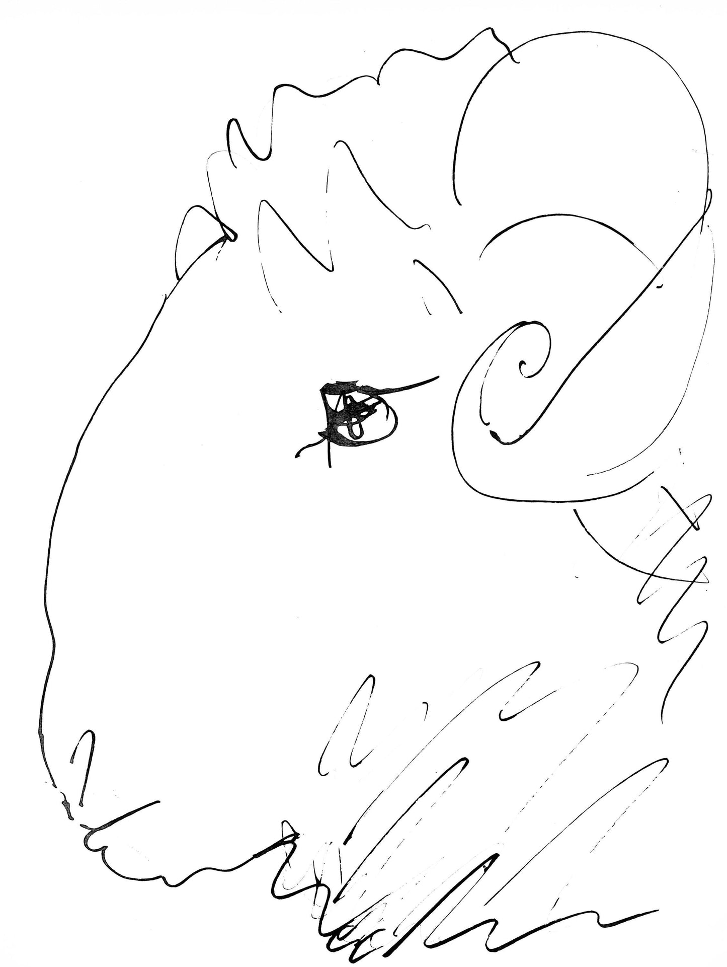 Pablo Picasso, Tte De Blier (Cramer 84; Johnson/Stein 77), 40 Dessins De Picasso En Marge Du