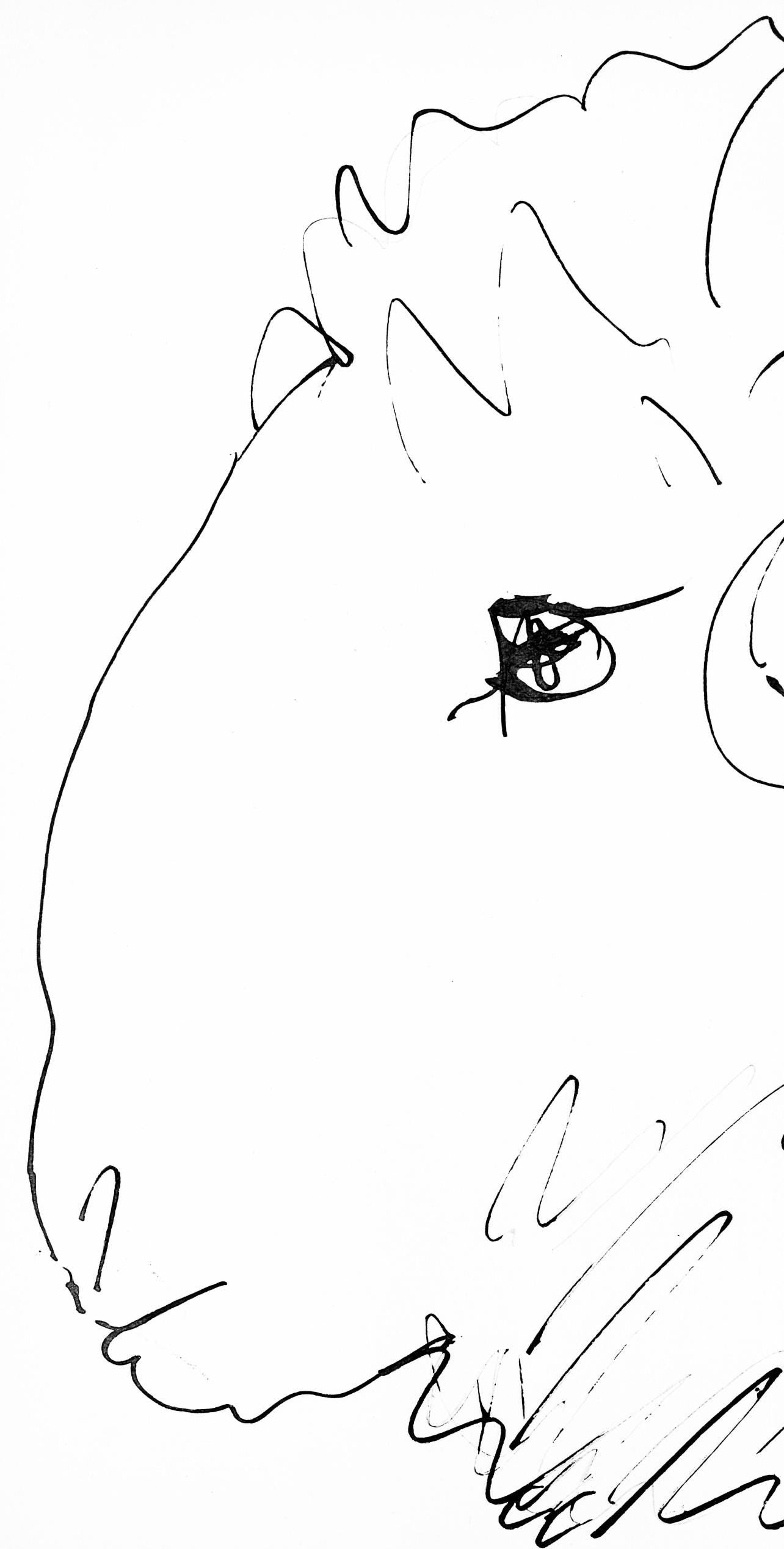 Pablo Picasso, Tte De Blier (Cramer 84; Johnson/Stein 77), 40 Dessins De Picasso En Marge Du