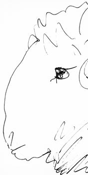 Pablo Picasso, Tte De Blier (Cramer 84; Johnson/Stein 77), 40 Dessins De Picasso En Marge Du