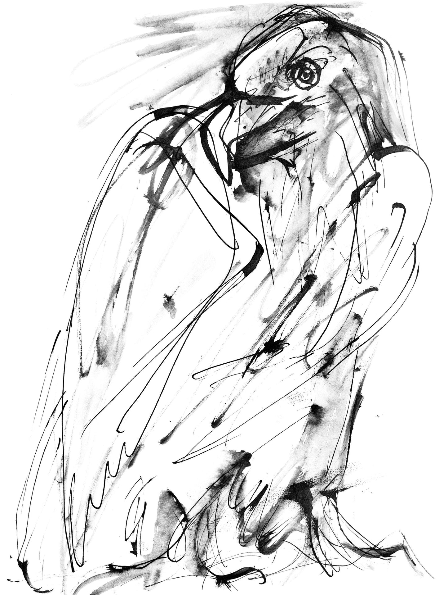 Pablo Picasso, Un Aigle (Cramer 84; Johnson/Stein 77), 40 Dessins De Picasso En Marge Du Buffon,