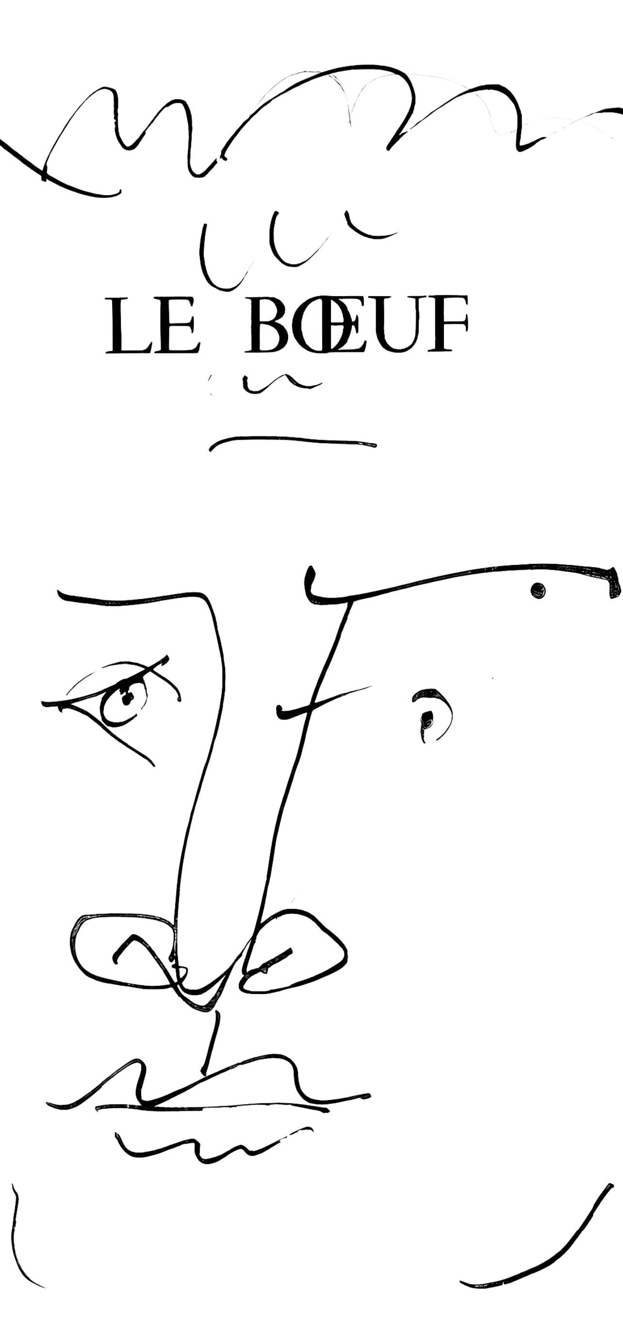 Pablo Picasso, Le Buf: Visage D'Homme (Cramer 84; Johnson/Stein 77), 40 Dessins De Picasso En Marge