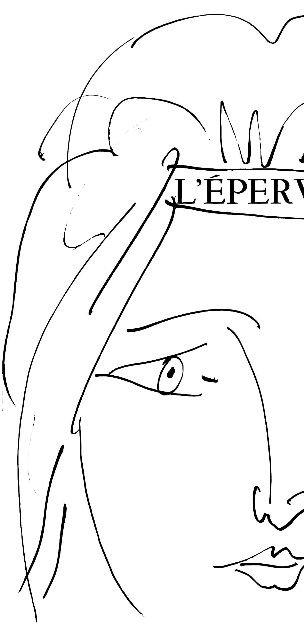 Pablo Picasso, L'Pervier, Visage De Femme (Cramer 84; Johnson/S. 77), 40 Dessins De Picasso En