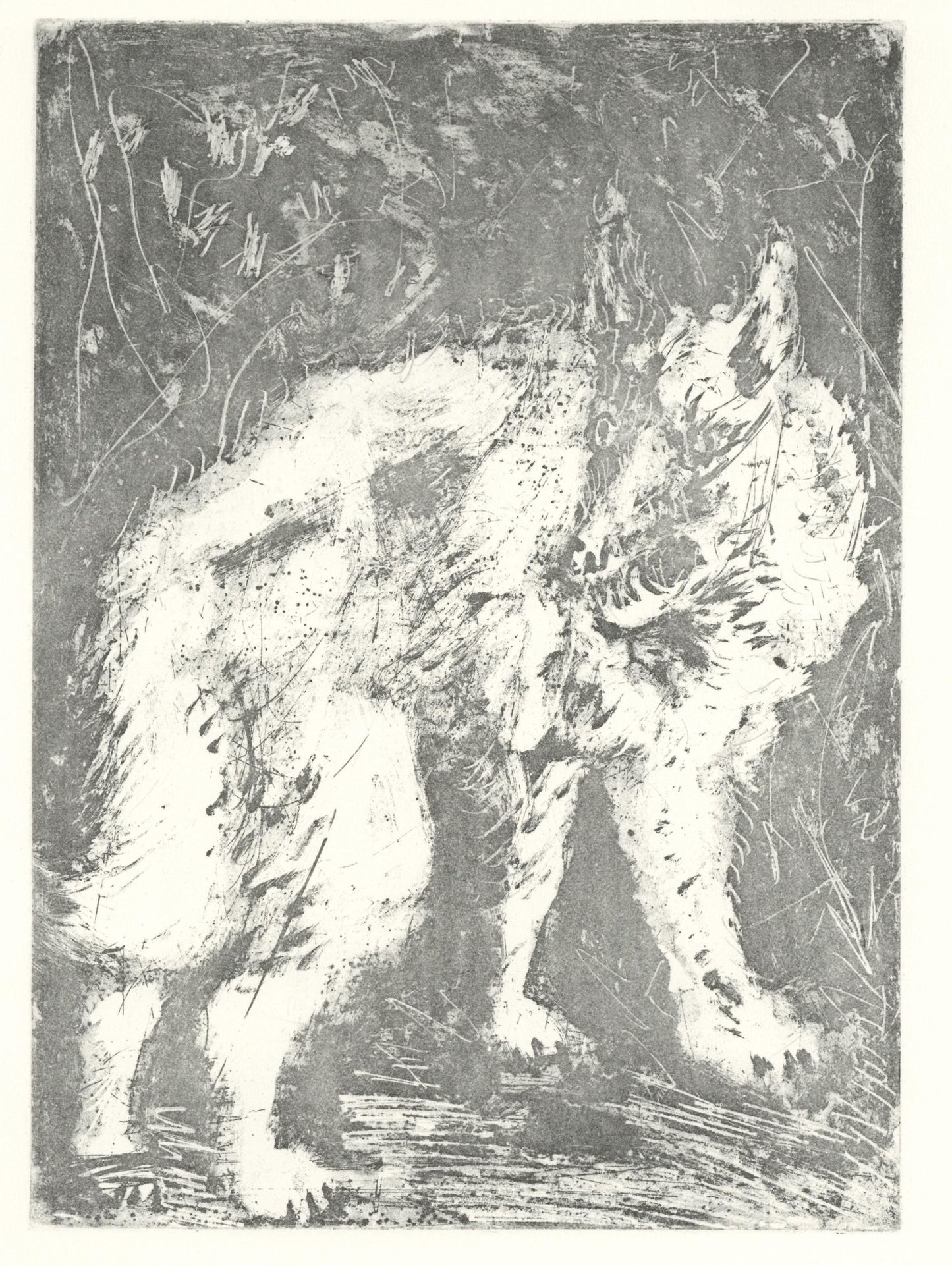 Pablo Picasso, Le Loup (The Wolf) (Orozco P.82), Histoire Naturelle, Lithograph