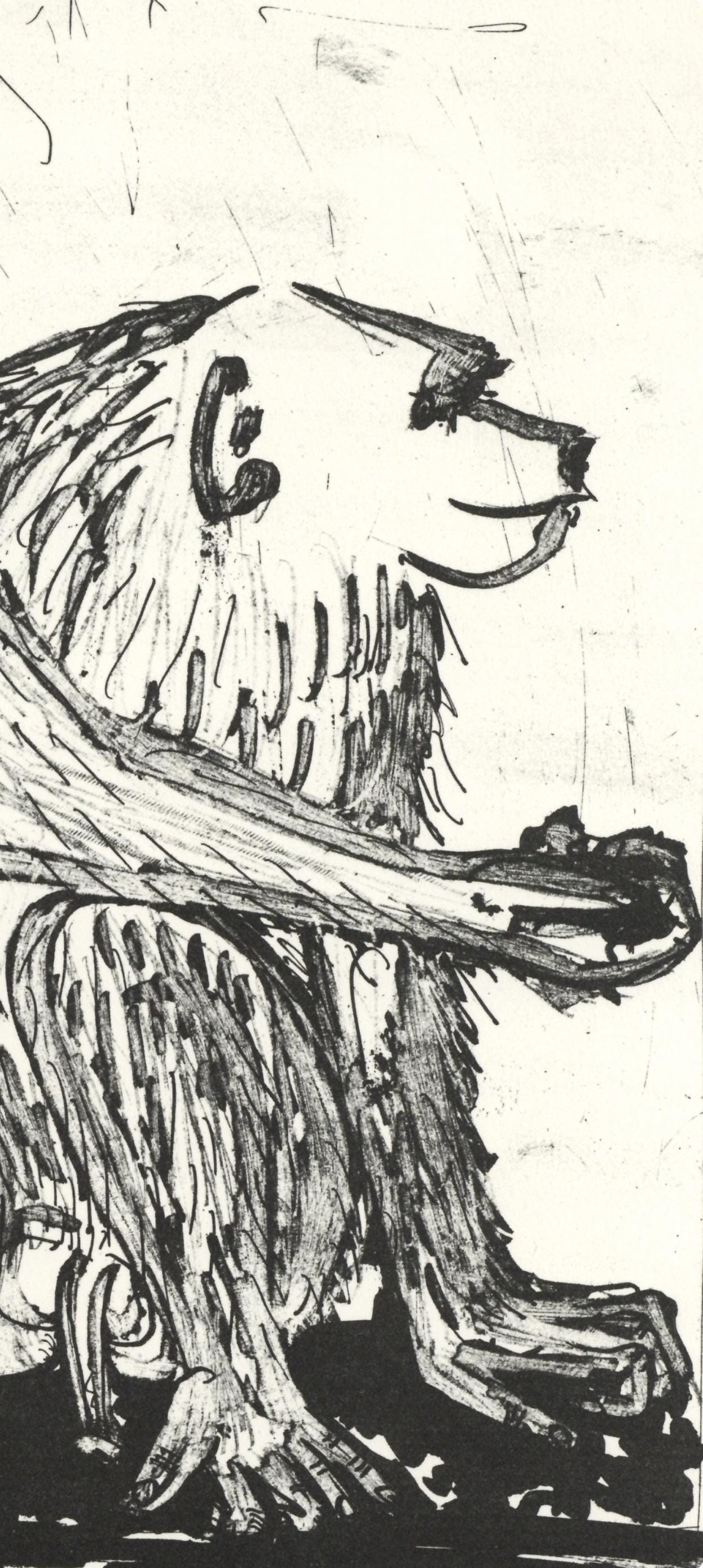 Pablo Picasso, Le Singe (The Monkey) (Orozco P.82), Histoire Naturelle, Lithograph