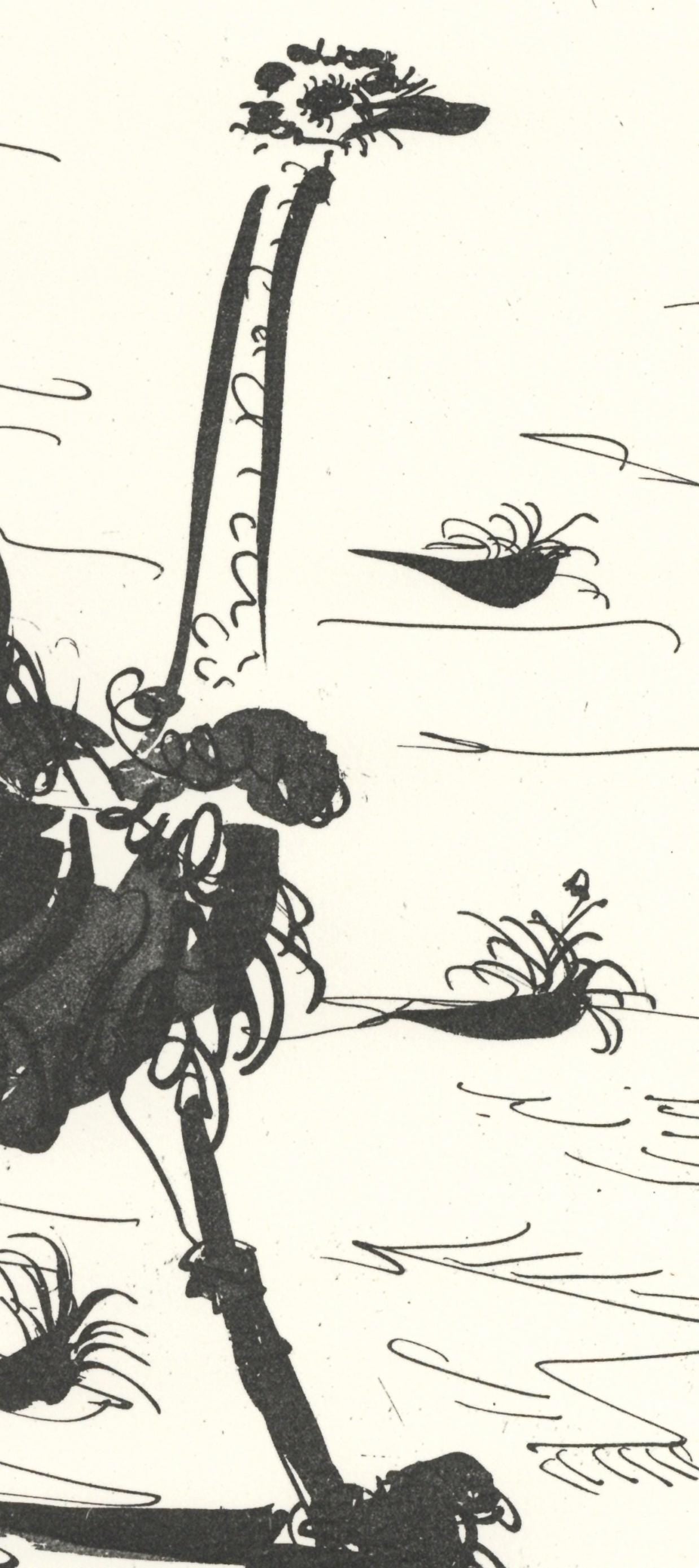 Pablo Picasso, L'Autruche (The Ostrich) (Orozco P.82), Histoire Naturelle, Lithograph