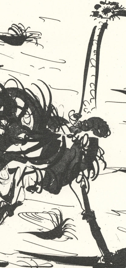 Pablo Picasso, L'Autruche (The Ostrich) (Orozco P.82), Histoire Naturelle, Lithograph