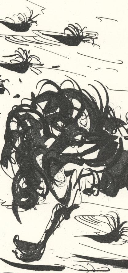 Pablo Picasso, L'Autruche (The Ostrich) (Orozco P.82), Histoire Naturelle, Lithograph