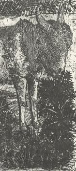 Pablo Picasso, L'Ne (The Donkey) (Orozco P.82), Histoire Naturelle, Lithograph