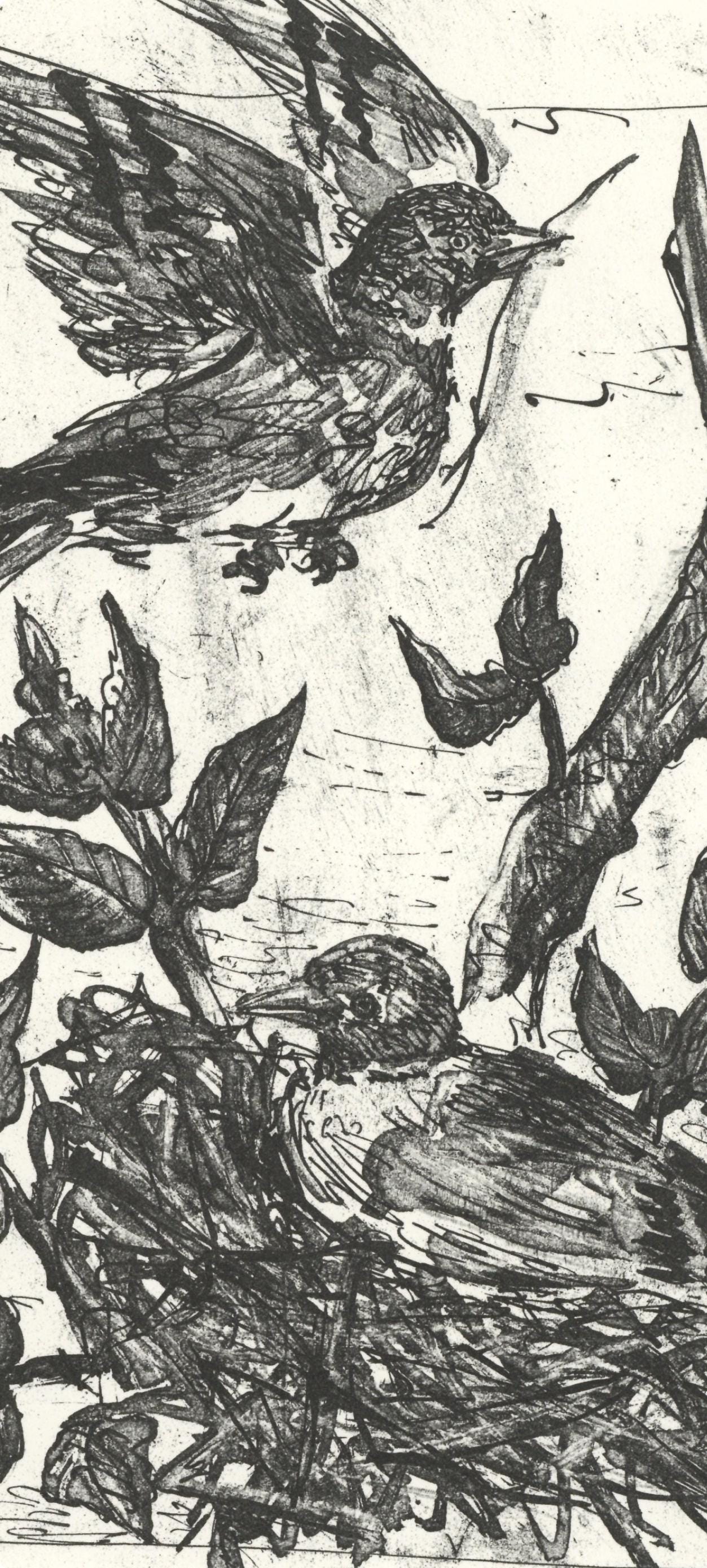 Pablo Picasso, Le Chardonneret (The Goldfinch) (Orozco P.82), Histoire Naturelle, Lithograph