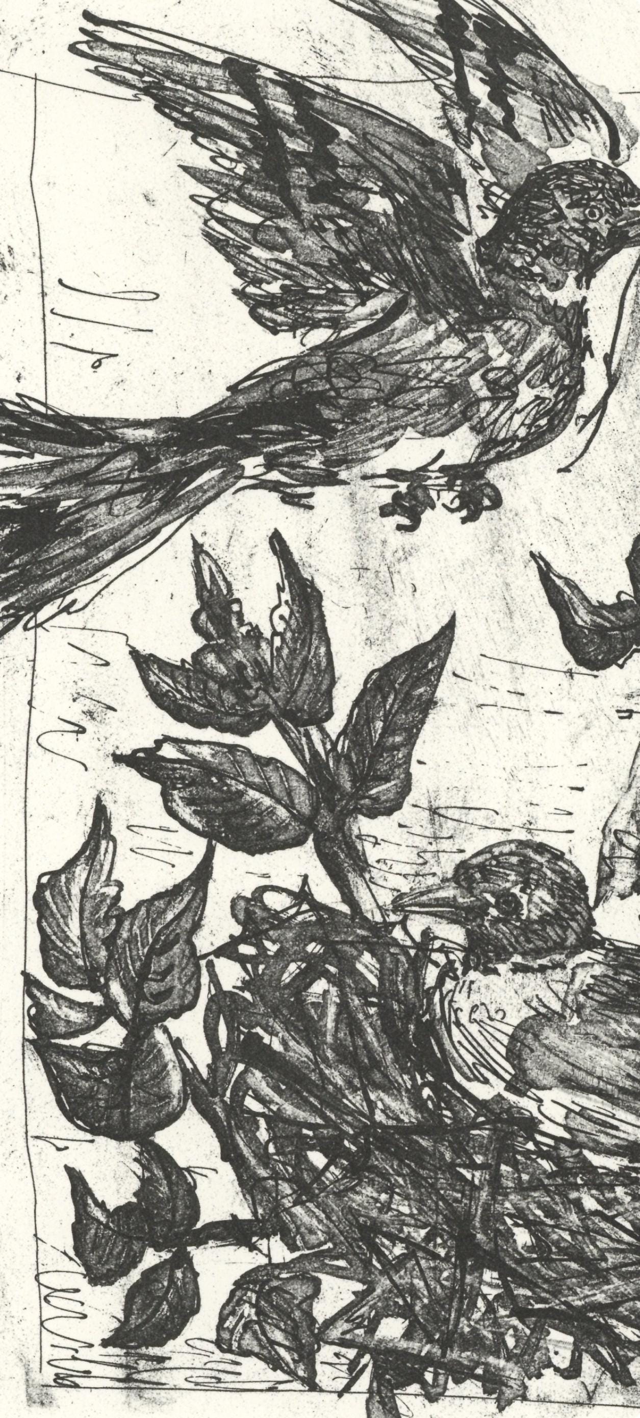 Pablo Picasso, Le Chardonneret (The Goldfinch) (Orozco P.82), Histoire Naturelle, Lithograph