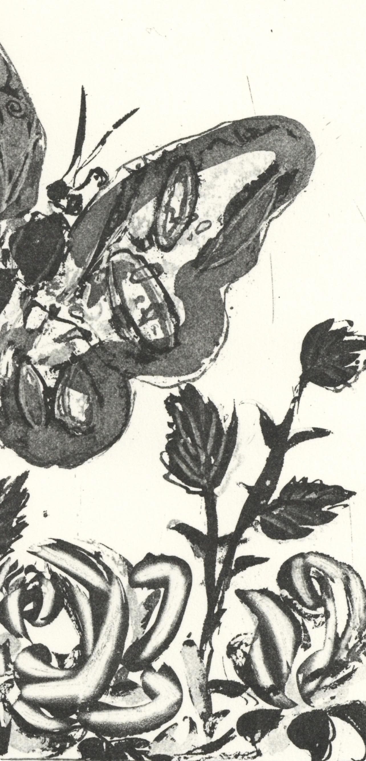 Pablo Picasso, Le Papillon (The Butterfly) (Orozco P.82), Histoire Naturelle, Lithograph