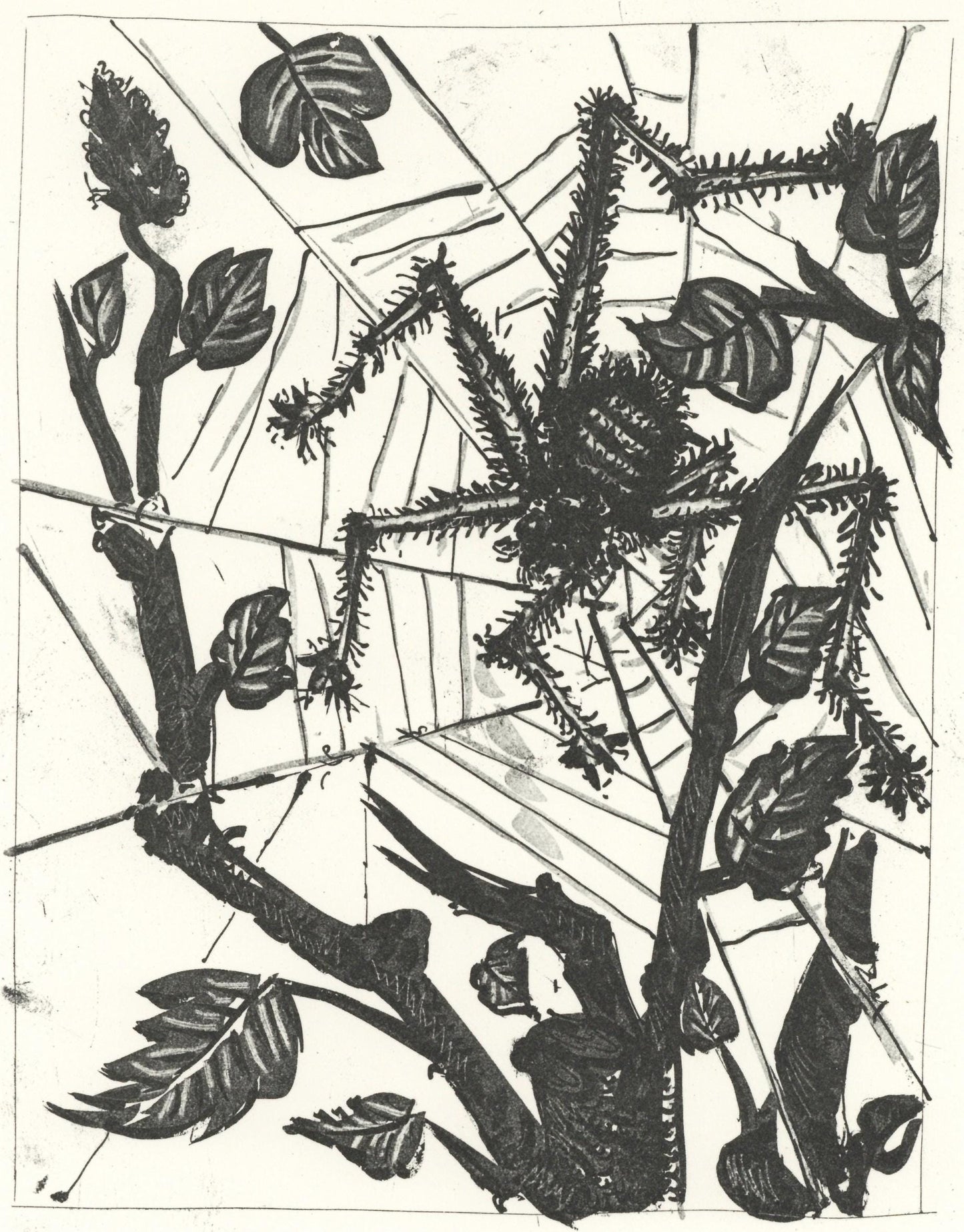 Pablo Picasso, L'Araigne (The Spider) (Orozco P.82), Histoire Naturelle, Lithograph