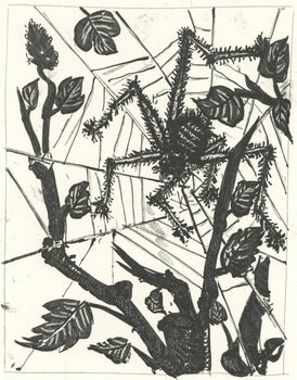 Pablo Picasso, L'Araigne (The Spider) (Orozco P.82), Histoire Naturelle, Lithograph