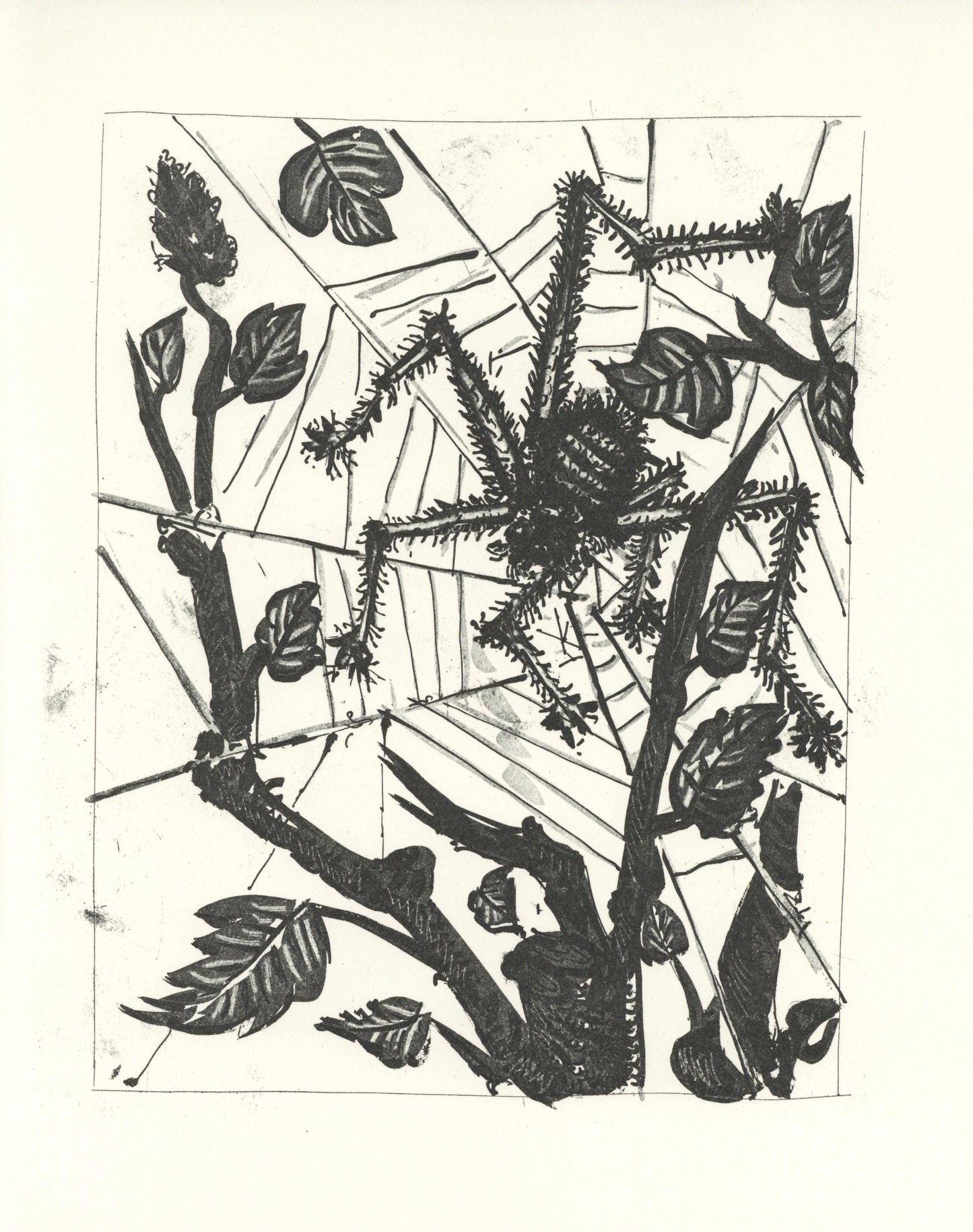 Pablo Picasso, L'Araigne (The Spider) (Orozco P.82), Histoire Naturelle, Lithograph
