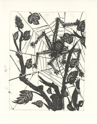 Pablo Picasso, L'Araigne (The Spider) (Orozco P.82), Histoire Naturelle, Lithograph