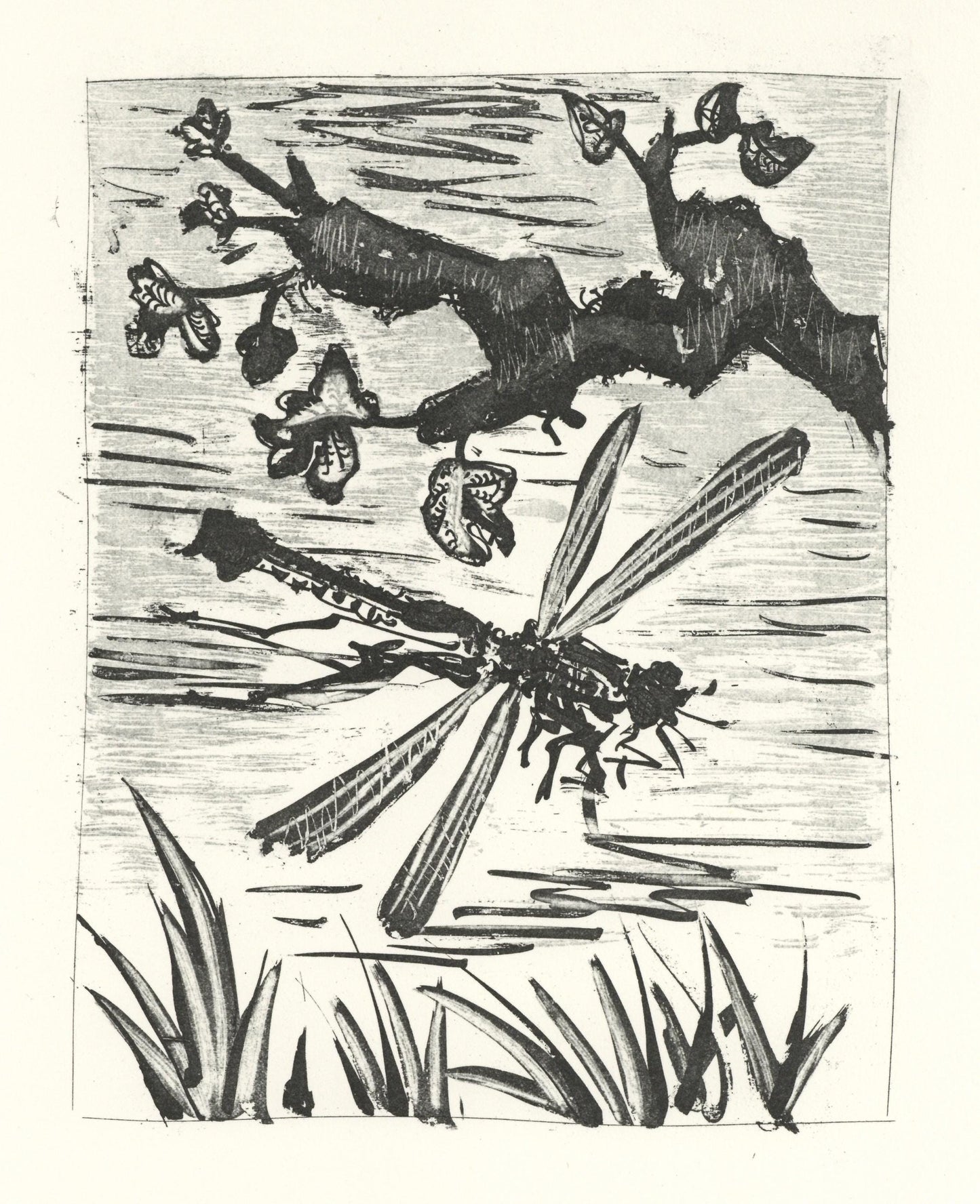 Pablo Picasso, La Libellule (The Dragonfly) (Orozco P.82), Histoire Naturelle, Lithograph