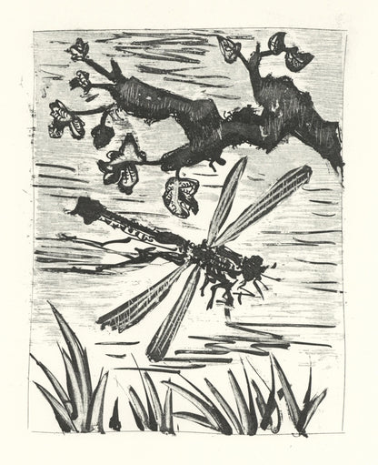 Pablo Picasso, La Libellule (The Dragonfly) (Orozco P.82), Histoire Naturelle, Lithograph