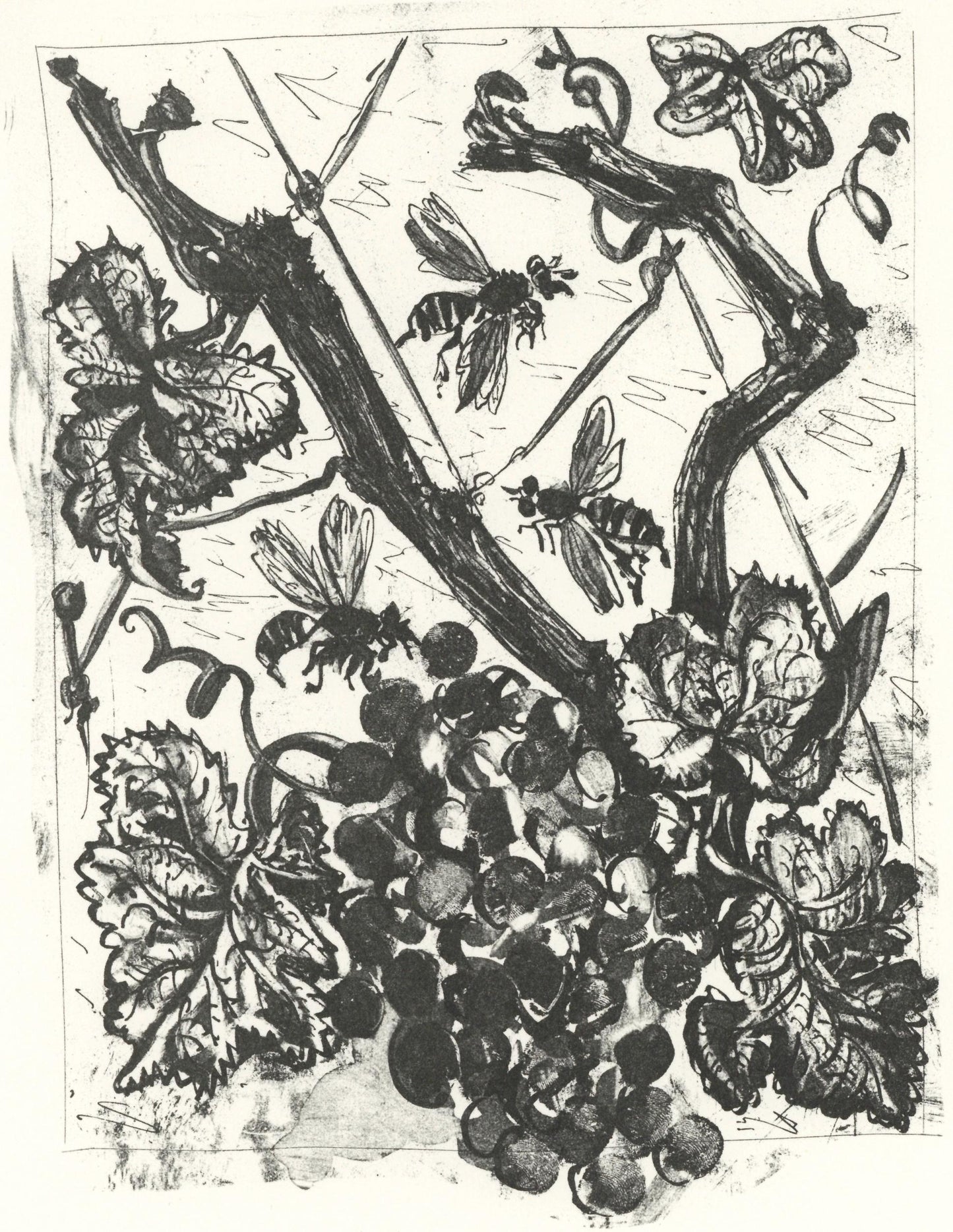 Pablo Picasso, La Gupe (The Wasp) (Orozco P.82), Histoire Naturelle, Lithograph
