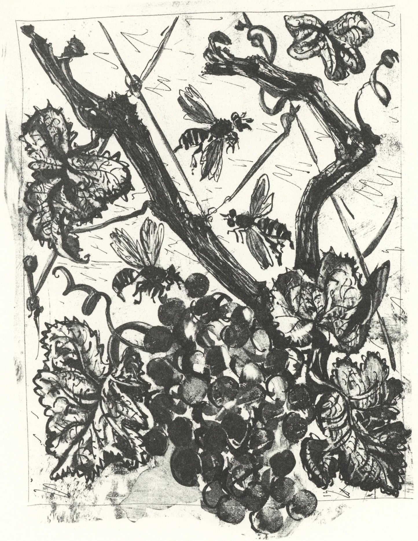 Pablo Picasso, La Gupe (The Wasp) (Orozco P.82), Histoire Naturelle, Lithograph