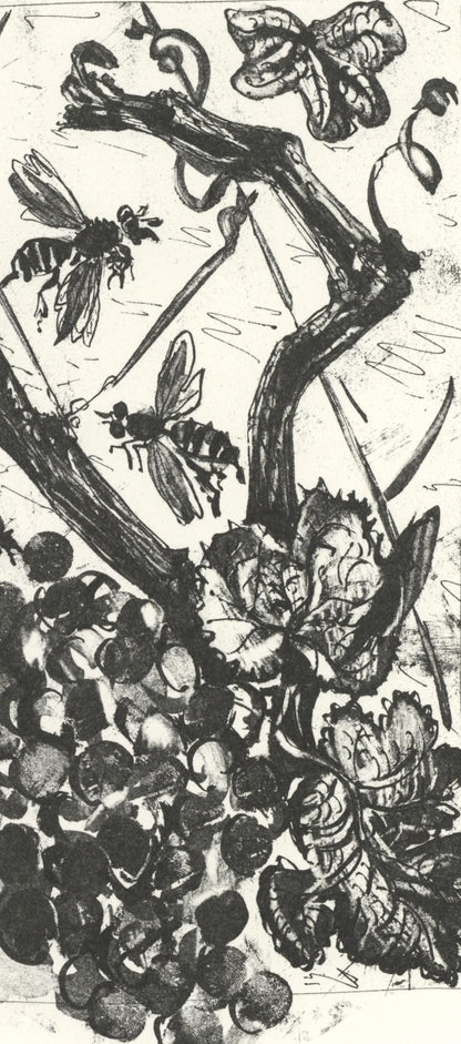 Pablo Picasso, La Gupe (The Wasp) (Orozco P.82), Histoire Naturelle, Lithograph