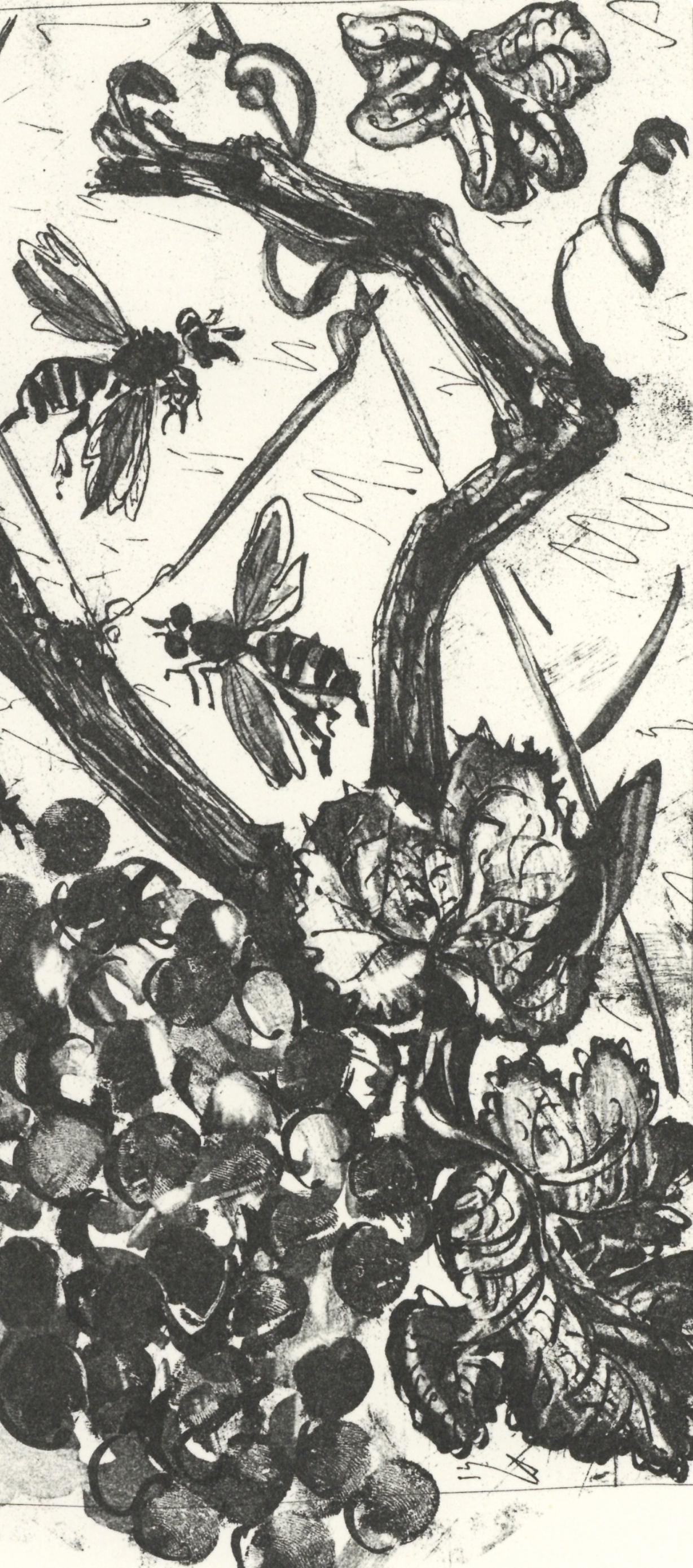Pablo Picasso, La Gupe (The Wasp) (Orozco P.82), Histoire Naturelle, Lithograph