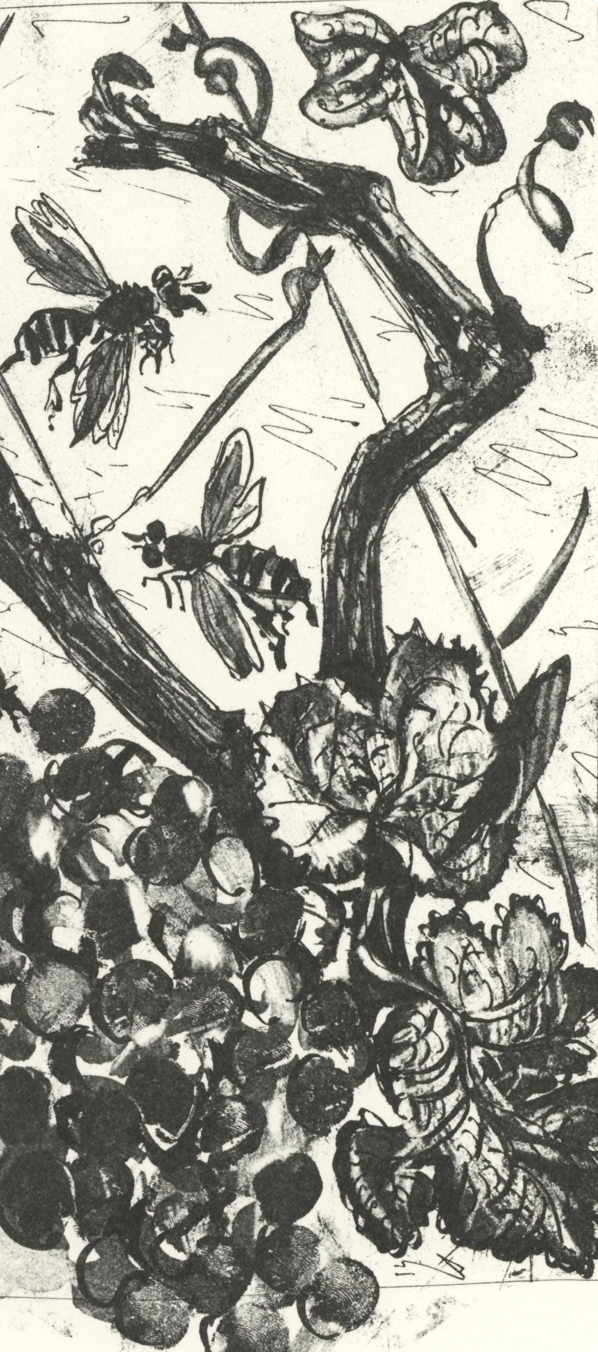 Pablo Picasso, La Gupe (The Wasp) (Orozco P.82), Histoire Naturelle, Lithograph