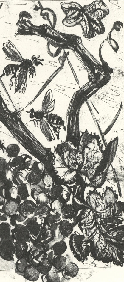Pablo Picasso, La Gupe (The Wasp) (Orozco P.82), Histoire Naturelle, Lithograph