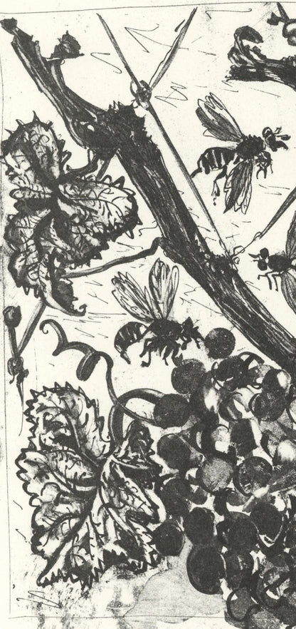 Pablo Picasso, La Gupe (The Wasp) (Orozco P.82), Histoire Naturelle, Lithograph