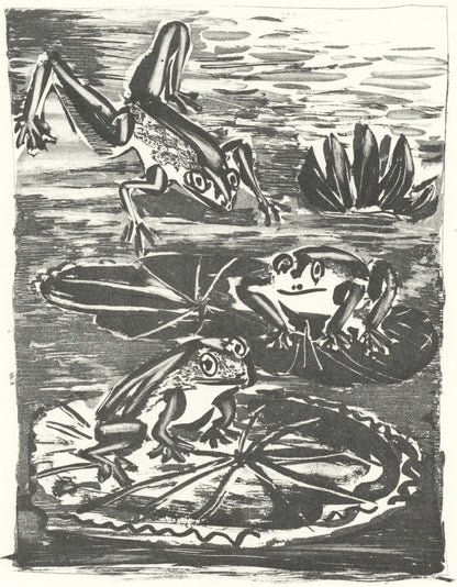 Pablo Picasso, La Grenouille (The Frog) (Orozco P.82), Histoire Naturelle, Lithograph