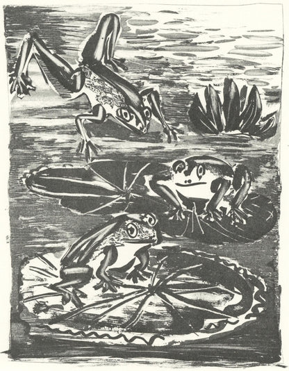 Pablo Picasso, La Grenouille (The Frog) (Orozco P.82), Histoire Naturelle, Lithograph