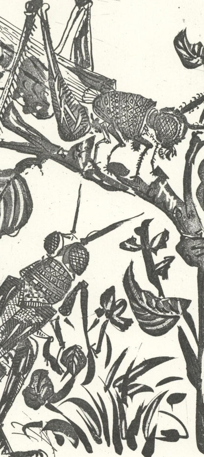 Pablo Picasso, La Sauterelle (The Grasshopper) (Orozco P.82), Histoire Naturelle, Lithograph