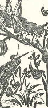 Pablo Picasso, La Sauterelle (The Grasshopper) (Orozco P.82), Histoire Naturelle, Lithograph