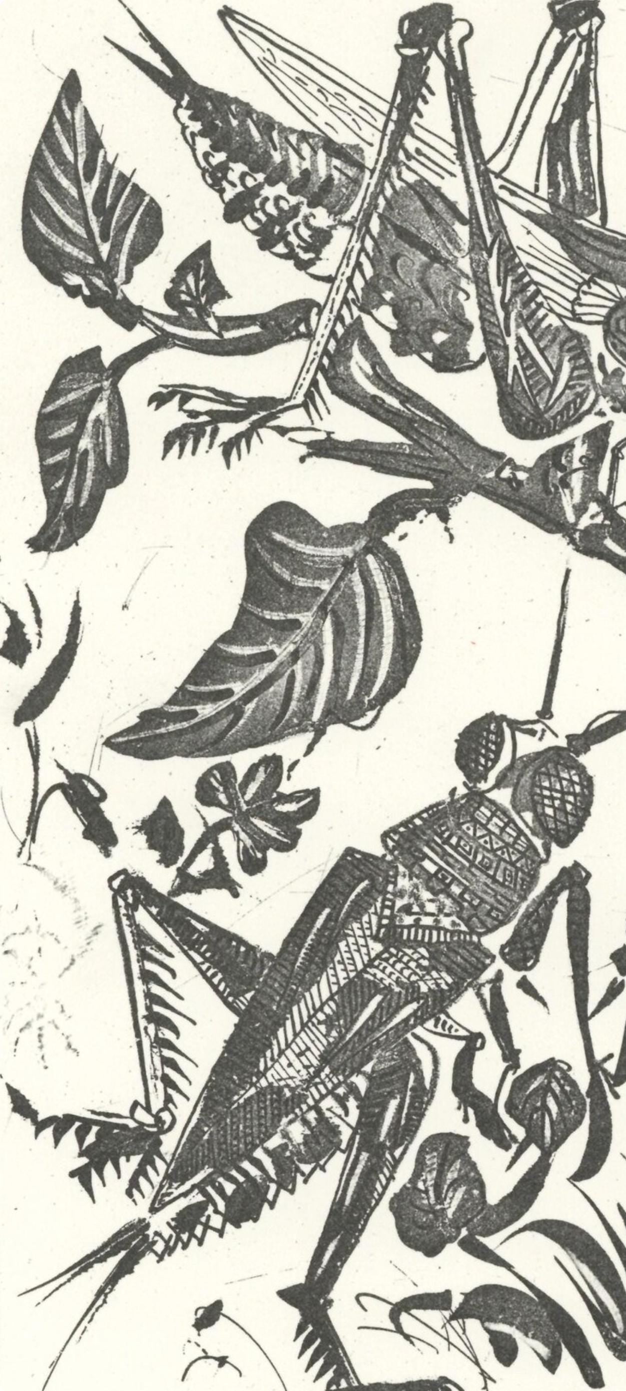 Pablo Picasso, La Sauterelle (The Grasshopper) (Orozco P.82), Histoire Naturelle, Lithograph