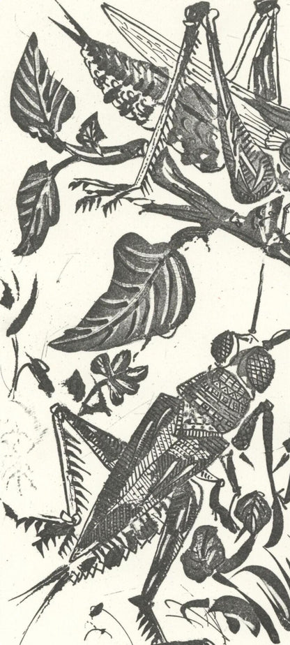 Pablo Picasso, La Sauterelle (The Grasshopper) (Orozco P.82), Histoire Naturelle, Lithograph