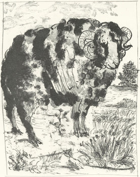 Pablo Picasso, Le Blier, (The Ram) (Orozco P.82), Histoire Naturelle, Lithograph
