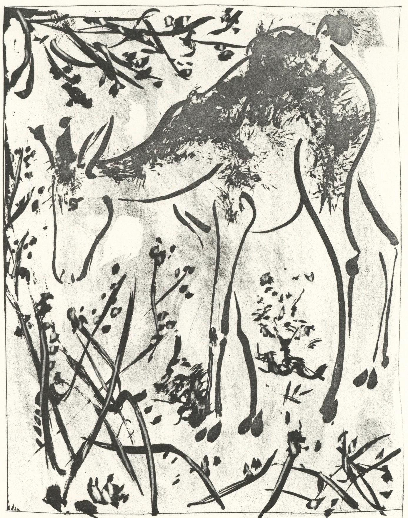 Pablo Picasso, Le Cerf (The Deer) (Orozco P.82), Histoire Naturelle, Lithograph