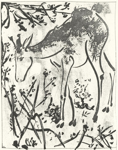 Pablo Picasso, Le Cerf (The Deer) (Orozco P.82), Histoire Naturelle, Lithograph