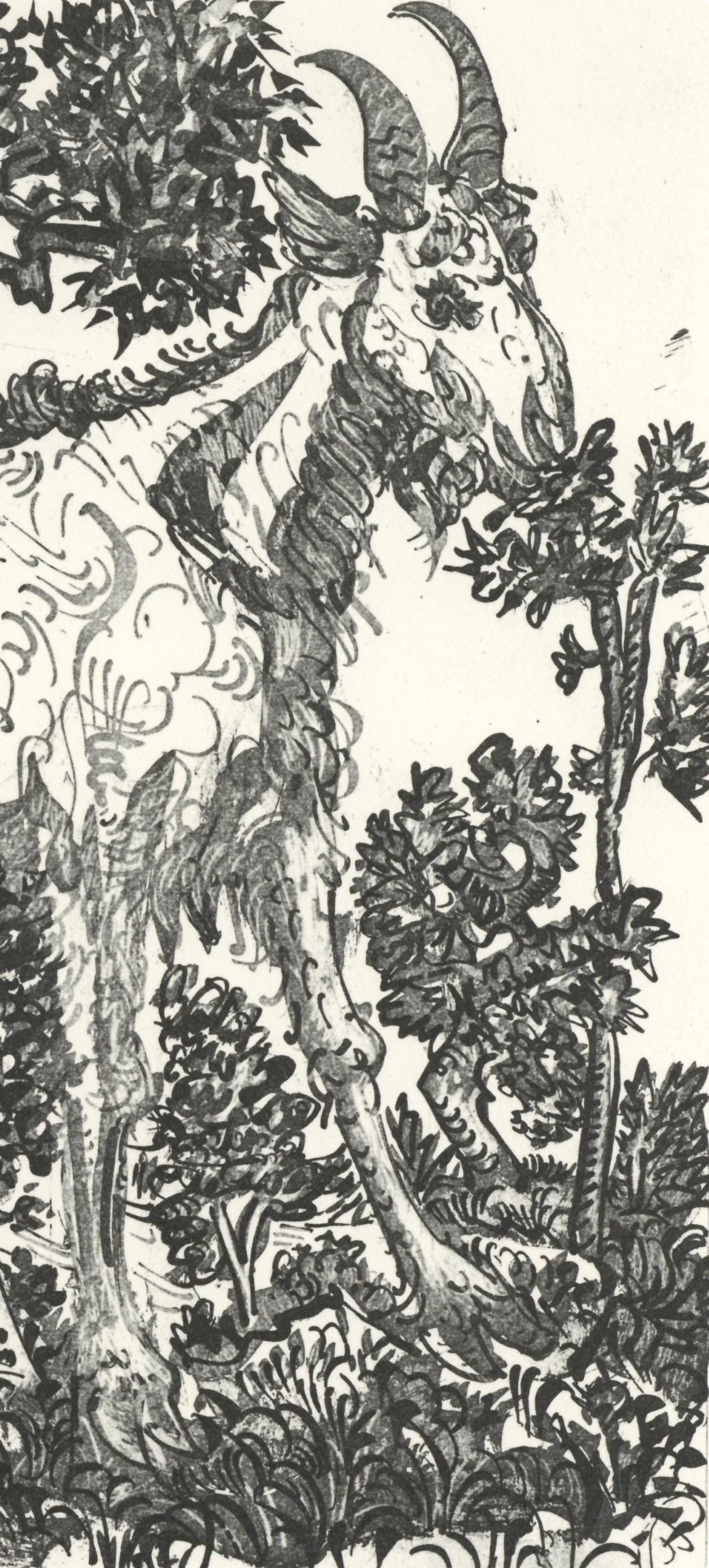 Pablo Picasso, La Chvre (The Goat) (Orozco P.82), Histoire Naturelle, Lithograph