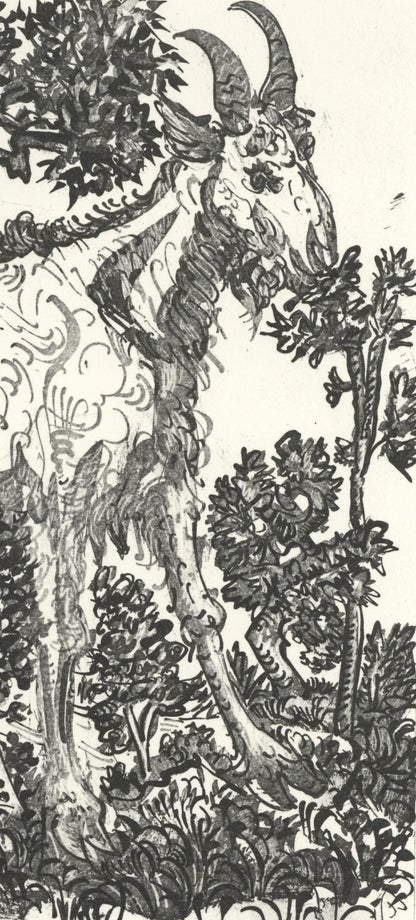 Pablo Picasso, La Chvre (The Goat) (Orozco P.82), Histoire Naturelle, Lithograph