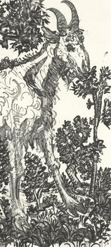 Pablo Picasso, La Chvre (The Goat) (Orozco P.82), Histoire Naturelle, Lithograph