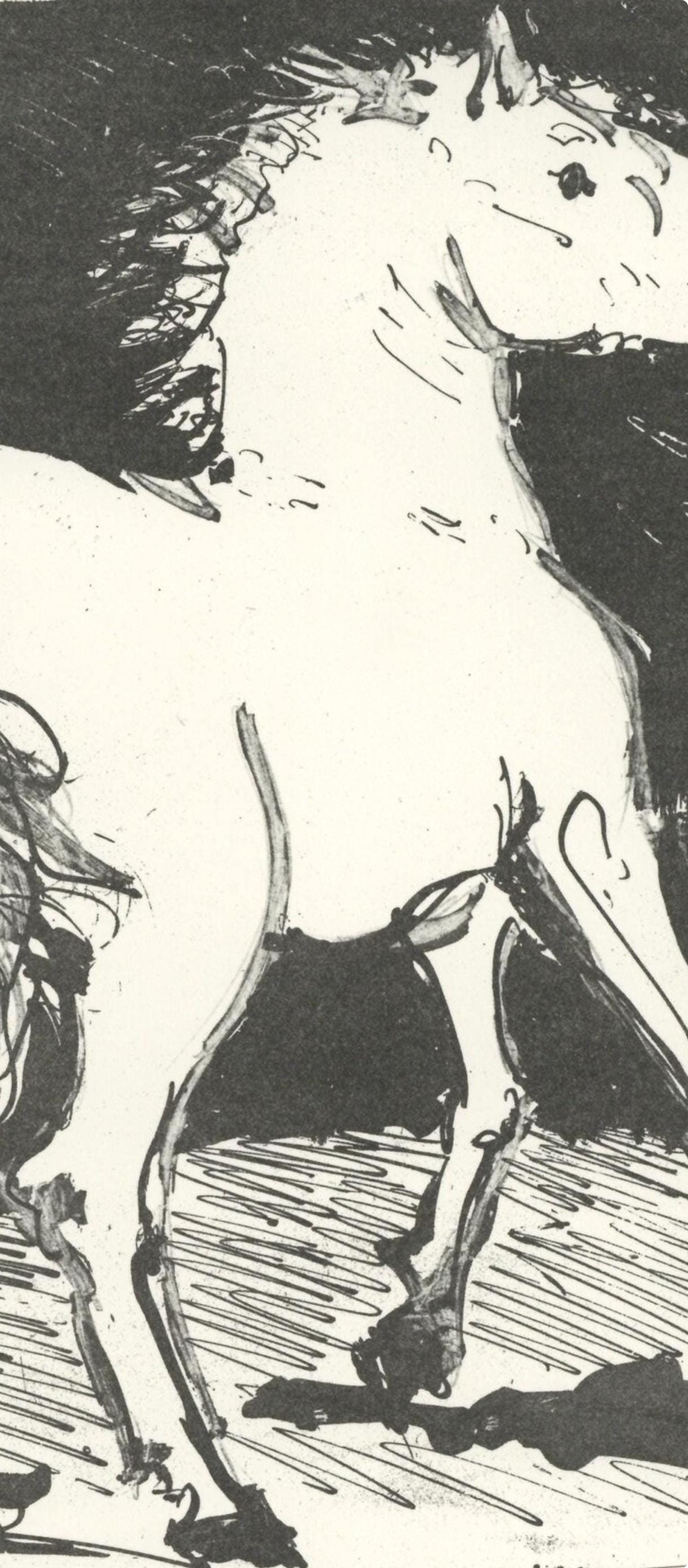 Pablo Picasso, Le Cheval (The Horse) (Orozco P.82), Histoire Naturelle, Lithograph