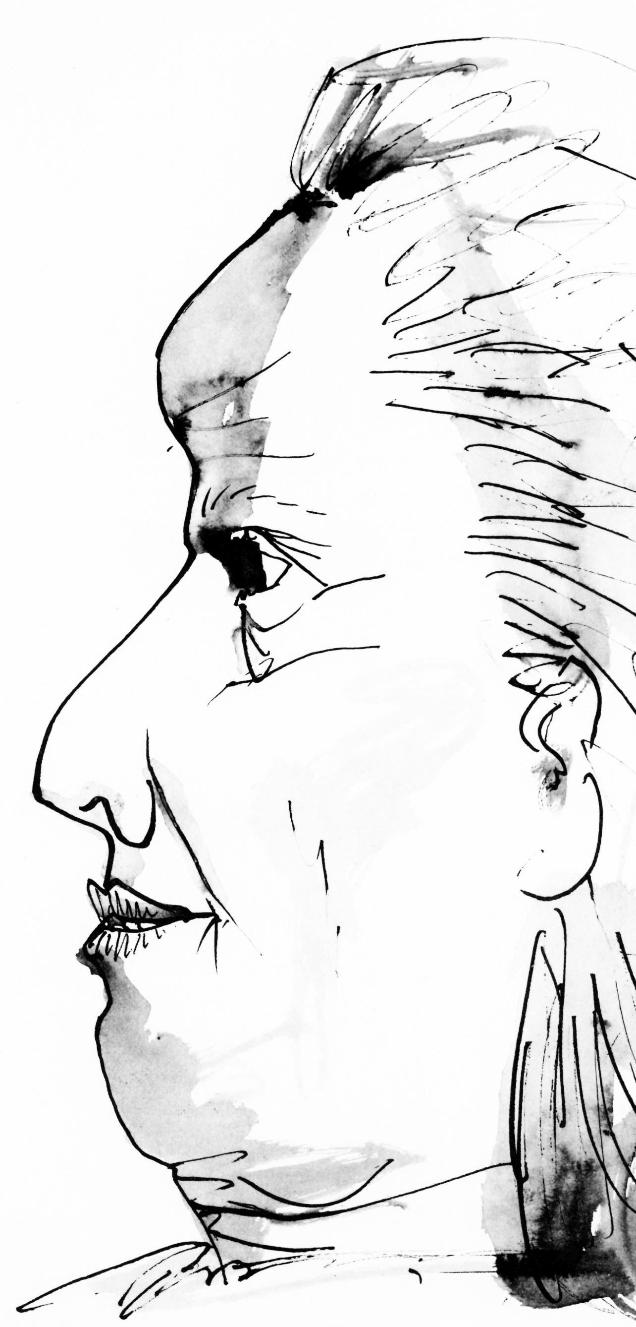 Pablo Picasso, Profil De Vieille Femme, Trait Et Lavis (Cramer 84; Johnson/Stein 77), Collotype