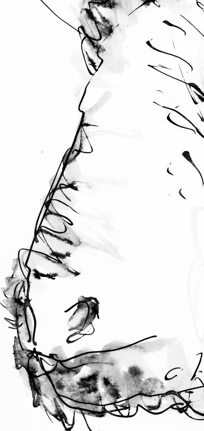 Pablo Picasso, Tte De Taureau (Cramer 84; Johnson/Stein 77), 40 Dessins De Picasso En Marge Du