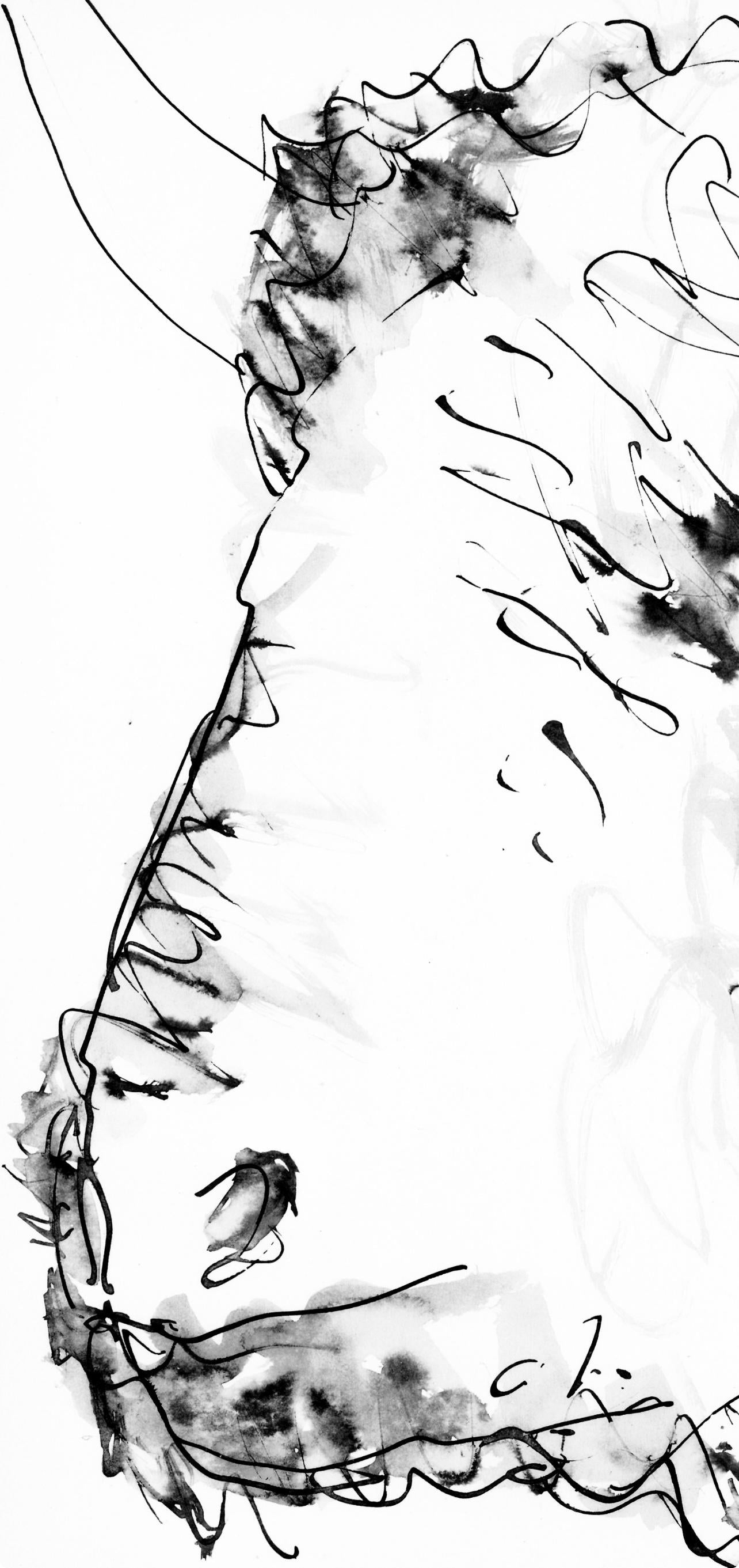 Pablo Picasso, Tte De Taureau (Cramer 84; Johnson/Stein 77), 40 Dessins De Picasso En Marge Du