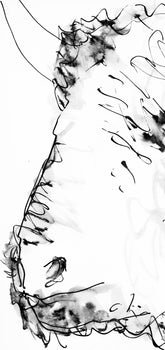 Pablo Picasso, Tte De Taureau (Cramer 84; Johnson/Stein 77), 40 Dessins De Picasso En Marge Du