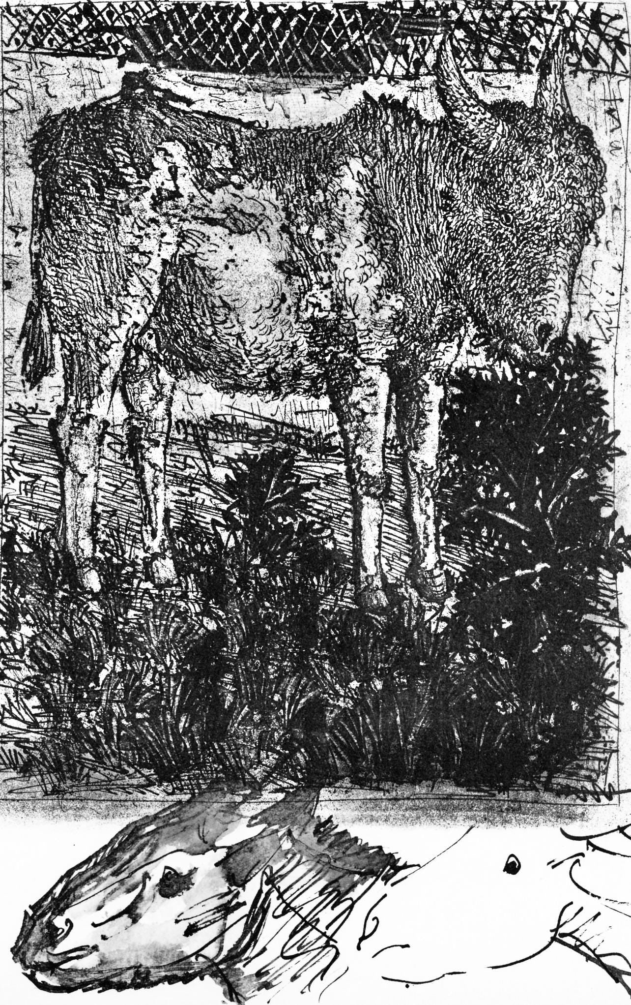 Pablo Picasso, Anes, Sur Une Planche Grave (Cramer 84; Johnson/S. 77), 40 Dessins De Picasso En