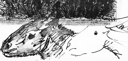 Pablo Picasso, Anes, Sur Une Planche Grave (Cramer 84; Johnson/S. 77), 40 Dessins De Picasso En