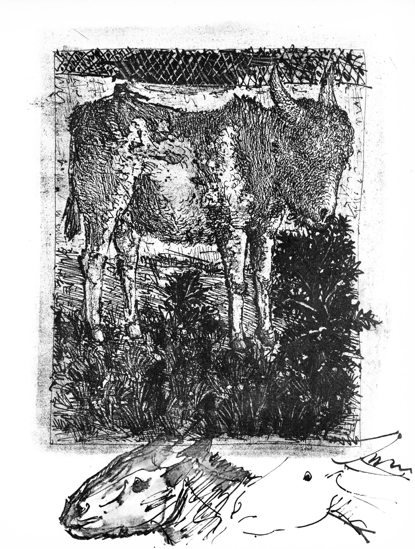 Pablo Picasso, Anes, Sur Une Planche Grave (Cramer 84; Johnson/S. 77), 40 Dessins De Picasso En