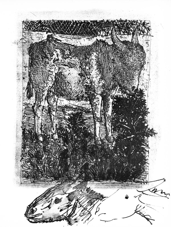 Pablo Picasso, Anes, sur une planche grave (Cramer 84; Johnson/ S. 77), 40 dessins de Picasso en marge du Buffon, Collotype
