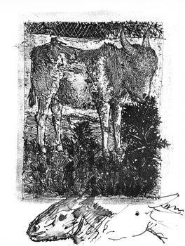 Pablo Picasso, Anes, Sur Une Planche Grave (Cramer 84; Johnson/S. 77), 40 Dessins De Picasso En